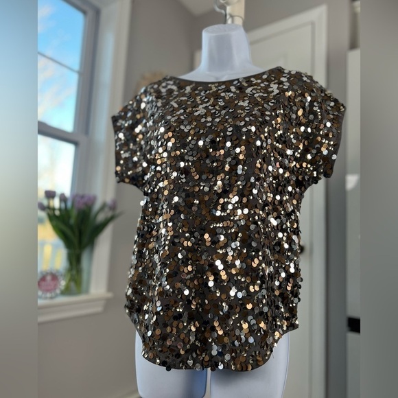 THE Limited Gold Silver Bronze Sequin Short Sleeve Gray Top Size XS - Picture 11 of 13